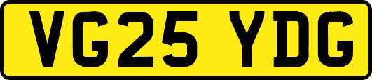 VG25YDG