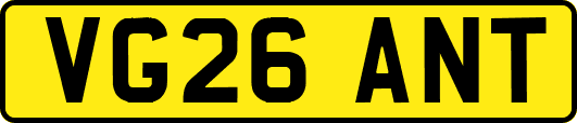 VG26ANT