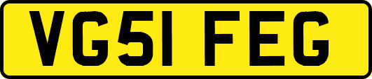 VG51FEG