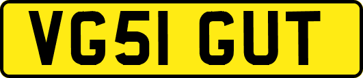 VG51GUT