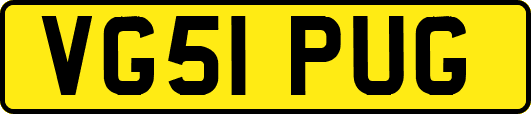 VG51PUG