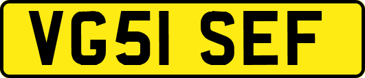 VG51SEF
