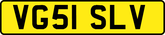 VG51SLV