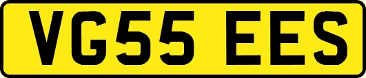 VG55EES