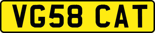 VG58CAT