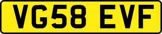 VG58EVF