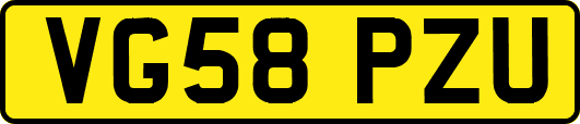 VG58PZU