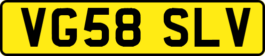 VG58SLV