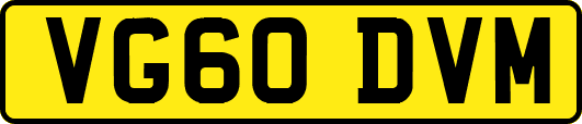 VG60DVM