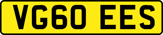 VG60EES
