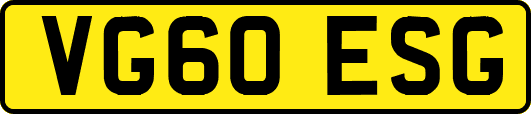 VG60ESG