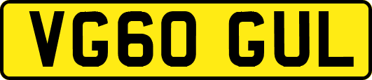 VG60GUL