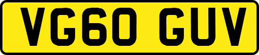VG60GUV