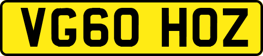 VG60HOZ
