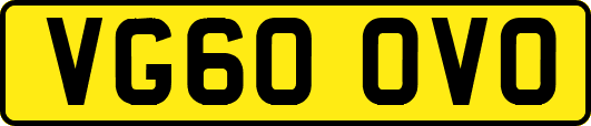 VG60OVO