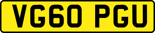 VG60PGU