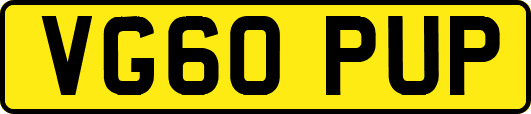 VG60PUP