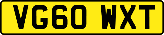 VG60WXT