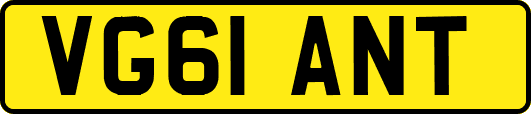 VG61ANT