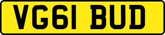 VG61BUD