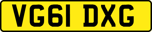 VG61DXG