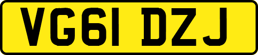 VG61DZJ