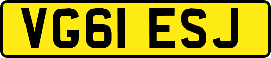 VG61ESJ