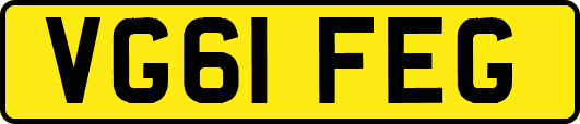 VG61FEG