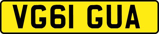 VG61GUA