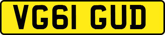 VG61GUD
