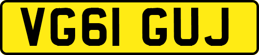 VG61GUJ
