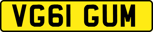VG61GUM