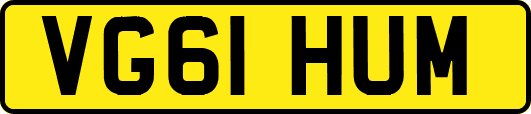VG61HUM