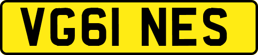 VG61NES