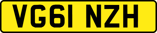 VG61NZH