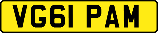 VG61PAM