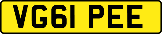 VG61PEE