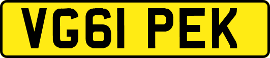 VG61PEK