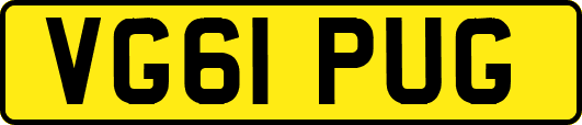 VG61PUG