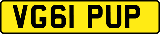 VG61PUP