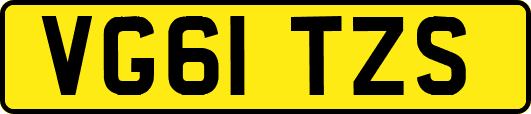 VG61TZS