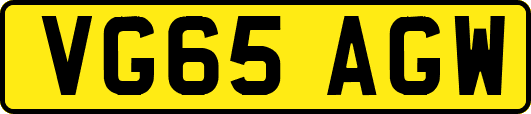 VG65AGW