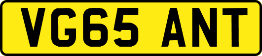 VG65ANT