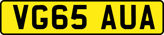 VG65AUA