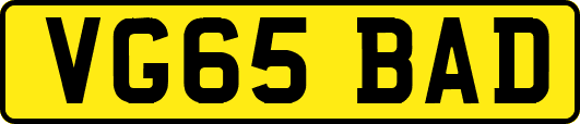 VG65BAD