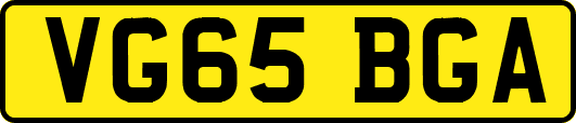 VG65BGA