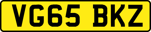 VG65BKZ