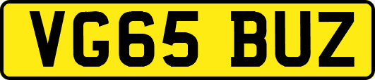 VG65BUZ