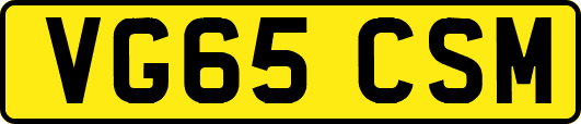 VG65CSM