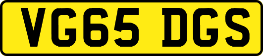 VG65DGS